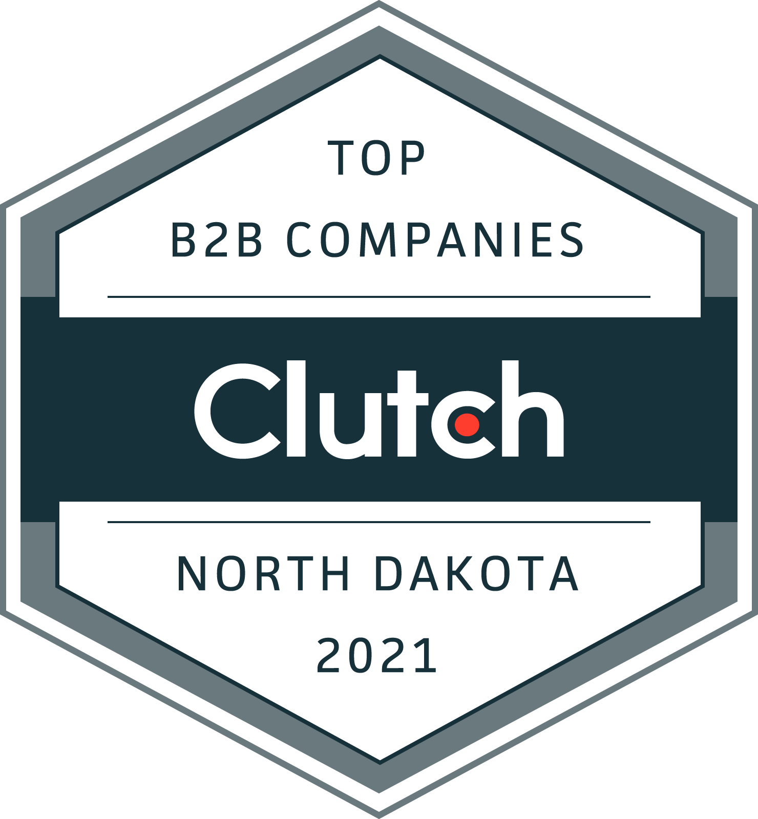 Project Rebel wins award from Clutch.co